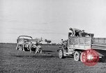 Image of Engineers Pacific Theater, 1944, second 27 stock footage video 65675028380