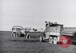 Image of Engineers Pacific Theater, 1944, second 28 stock footage video 65675028380