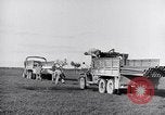 Image of Engineers Pacific Theater, 1944, second 29 stock footage video 65675028380