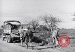 Image of Engineers Pacific Theater, 1944, second 39 stock footage video 65675028380