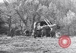 Image of Engineers Pacific Theater, 1944, second 55 stock footage video 65675028380