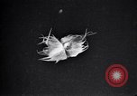 Standbild Boll Weevil Tilgung United States USA, 1921, aus Sekunde 25 historischem Filmmaterial Videoclip 65675028383