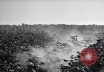 Image of Pesticide combat boll weevil United States USA, 1921, second 13 stock footage video 65675028385