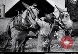 Image of Pesticide combat boll weevil United States USA, 1921, second 23 stock footage video 65675028385