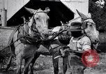 Image of Pesticide combat boll weevil United States USA, 1921, second 26 stock footage video 65675028385