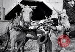 Image of Pesticide combat boll weevil United States USA, 1921, second 27 stock footage video 65675028385