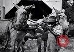 Image of Pesticide combat boll weevil United States USA, 1921, second 32 stock footage video 65675028385