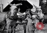 Image of Pesticide combat boll weevil United States USA, 1921, second 35 stock footage video 65675028385