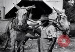 Image of Pesticide combat boll weevil United States USA, 1921, second 36 stock footage video 65675028385