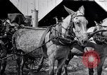 Image of Pesticide combat boll weevil United States USA, 1921, second 39 stock footage video 65675028385