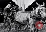 Image of Pesticide combat boll weevil United States USA, 1921, second 41 stock footage video 65675028385