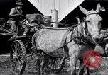 Image of Pesticide combat boll weevil United States USA, 1921, second 42 stock footage video 65675028385