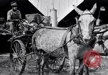 Image of Pesticide combat boll weevil United States USA, 1921, second 43 stock footage video 65675028385