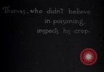 Image of farmer inspecting cotton crop United States USA, 1921, second 5 stock footage video 65675028387