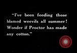 Image of farmer inspecting cotton crop United States USA, 1921, second 40 stock footage video 65675028387