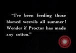 Image of farmer inspecting cotton crop United States USA, 1921, second 41 stock footage video 65675028387