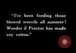 Image of farmer inspecting cotton crop United States USA, 1921, second 42 stock footage video 65675028387