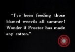 Image of farmer inspecting cotton crop United States USA, 1921, second 45 stock footage video 65675028387