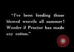 Image of farmer inspecting cotton crop United States USA, 1921, second 46 stock footage video 65675028387