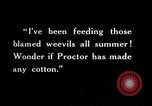 Image of farmer inspecting cotton crop United States USA, 1921, second 49 stock footage video 65675028387