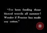 Image of farmer inspecting cotton crop United States USA, 1921, second 50 stock footage video 65675028387