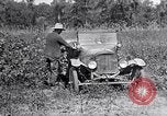 Image of farmer inspecting cotton crop United States USA, 1921, second 58 stock footage video 65675028387