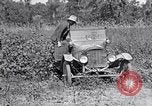 Image of farmer inspecting cotton crop United States USA, 1921, second 59 stock footage video 65675028387