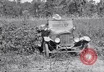 Image of farmer inspecting cotton crop United States USA, 1921, second 60 stock footage video 65675028387