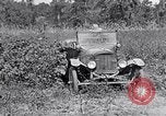 Image of farmer inspecting cotton crop United States USA, 1921, second 61 stock footage video 65675028387