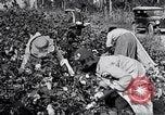 Image of Proctor United States USA, 1921, second 13 stock footage video 65675028388