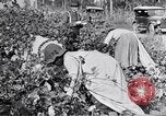 Image of Proctor United States USA, 1921, second 15 stock footage video 65675028388
