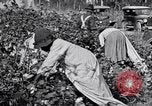 Image of Proctor United States USA, 1921, second 18 stock footage video 65675028388