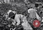 Image of Proctor United States USA, 1921, second 19 stock footage video 65675028388