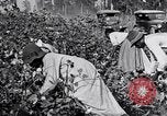 Image of Proctor United States USA, 1921, second 21 stock footage video 65675028388