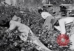 Image of Proctor United States USA, 1921, second 23 stock footage video 65675028388