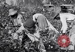 Image of Proctor United States USA, 1921, second 25 stock footage video 65675028388