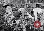 Image of Proctor United States USA, 1921, second 26 stock footage video 65675028388