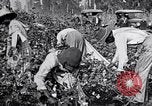 Image of Proctor United States USA, 1921, second 27 stock footage video 65675028388