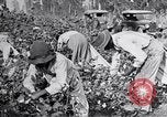 Image of Proctor United States USA, 1921, second 29 stock footage video 65675028388