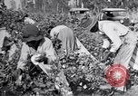 Image of Proctor United States USA, 1921, second 30 stock footage video 65675028388