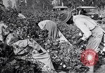 Image of Proctor United States USA, 1921, second 31 stock footage video 65675028388