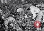 Image of Proctor United States USA, 1921, second 32 stock footage video 65675028388