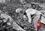 Image of Proctor United States USA, 1921, second 33 stock footage video 65675028388