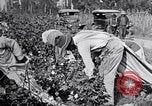 Image of Proctor United States USA, 1921, second 34 stock footage video 65675028388
