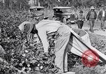 Image of Proctor United States USA, 1921, second 36 stock footage video 65675028388