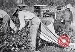 Image of Proctor United States USA, 1921, second 44 stock footage video 65675028388