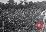 Image of Proctor United States USA, 1921, second 54 stock footage video 65675028389
