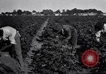 Image of Owens United States USA, 1921, second 8 stock footage video 65675028391