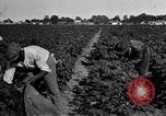 Image of Owens United States USA, 1921, second 9 stock footage video 65675028391