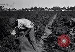 Image of Owens United States USA, 1921, second 10 stock footage video 65675028391